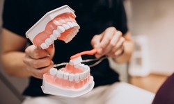 The Ultimate Guide to Dentist Consultations and Oral Hygiene Services
