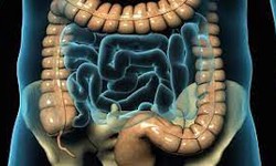 Beyond the Bellyache: Exploring the Depths of Appendicitis Disease