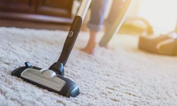 Who Needs Professional Carpet Cleaning in Mortdale? You Do!