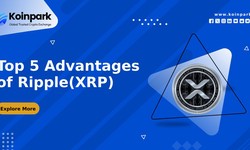 Top 5 Advantages of Ripple(XRP)