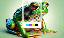 CMYK in Printing. Unveiling the Process and Its Advantages