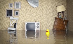 A Guide to Water Damage Restoration Services in St. Petersburg