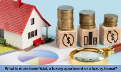 What is more beneficial, a luxury apartment or a luxury house?