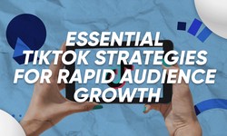 Essential TikTok Strategies for Rapid Audience Growth