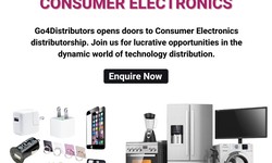 What You Should Know Before Launching a Consumer Electronics Distributorship?