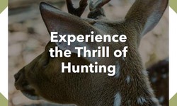 Details on how to obtain and use a hunting access permit