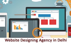 web designing company in Delhi