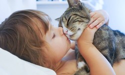 Comprehensive Pet Care Techniques: Ensuring the Well-being of Your Furry Companions