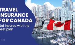 Canadian Travel Insurance