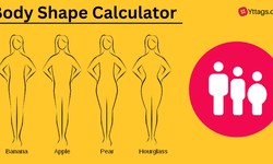 Sculpting Confidence: The Power of the Body Shape Calculator