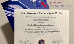 How to buy AUD（American University In Dubai） fake Degree