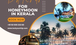 Eternal Romance Unveiled: Exploring the Best Honeymoon Resorts in Kerala