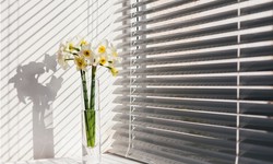 Elegance in Every Window: Exploring the Best Blinds in Solihull