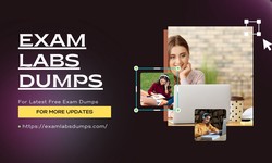 ExamLabsDumps Pro Tips: Exam Dumps Excellence Unveiled