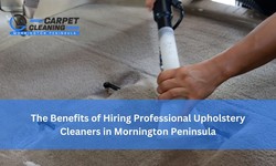 The Benefits of Hiring Professional Upholstery Cleaners in Mornington Peninsula