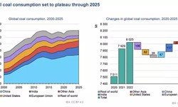 Navigating the Crossroads: Understanding the Dynamics of Global Coal Demand