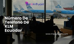 Navegando Ecuador con Facilidad: Una Guía de los Servicios de Telecomunicaciones de KLM