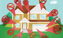 Child and Pet-Friendly Pest Control: Safe and Effective Approaches