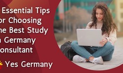 5 Essential Tips for Choosing the Best Study in Germany Consultant