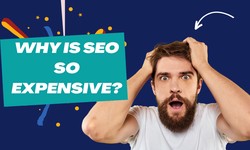 Why is SEO So Expensive?