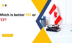Comparing TEF and TCF: Which French Proficiency Test is Right for You
