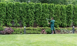 How to Choose the Right Landscaping Company