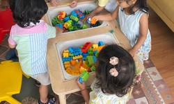 Embracing Creativity and Collaboration: The Impact of the Reggio Emilia Approach in Early Childhood Schools