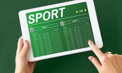 Beyond the Field: The Comprehensive Guide to a Sports Team Management App