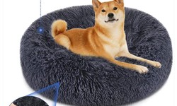 Tough Beds for Tough Pups: A Guide to Indestructible Dog Beds in Australia