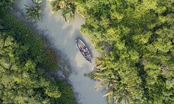 Meditative Trails: Exploring Sundarbans' Nature Walks for Inner Reflection
