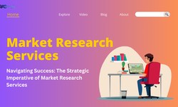 Navigating Success: The Strategic Imperative of Market Research Services