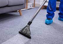 Unlock the Power of Professional Carpet Cleaning