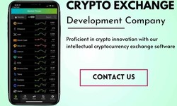 Top 4 Crypto Exchange Development Companies That Make Your Business Superior In 2024