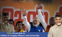 TDP's Pivotal Role In Coalition Politics In Forging Alliances And Partnerships