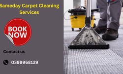 Elevate Your Home with Expert Carpet Cleaning Services