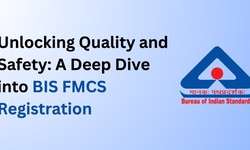 Unlocking Quality and Safety: A Deep Dive into BIS FMCS Registration