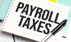 Role of payroll tax attorney in challenging payroll tax