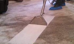 The Top 7 Benefits of Professional Carpet Cleaning Services in Melbourne