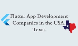 Flutter App Development Companies in the USA, Texas