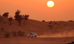 Unveiling the Magic of the Dunes: An Unforgettable Evening Desert Safari with Desert Planet Tourism