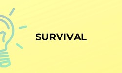 Survival Transformed: A Guide to Self-Discovery