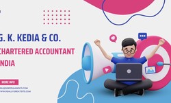 Unlocking the Significance of Chartered Accountant in India