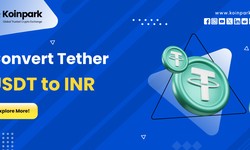 Convert Tether USDT to INR