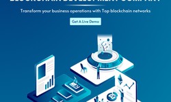 Navigating the World of Blockchain Development with Osiz Technologies