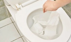 can too much toilet paper clog my sewer line?