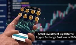 Small Investment Big Returns: Crypto Exchange Business in 2024