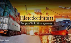 Transforming Supply Chain Industry: The Impact Of Blockchain Revolution