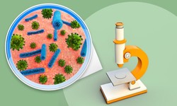 How Do Humans Use Microbes