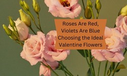 Roses Are Red, Violets Are Blue: Choosing the Ideal Valentine Flowers