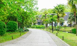 A Comprehensive Guide to Choosing the Right Large Driveway Pavers